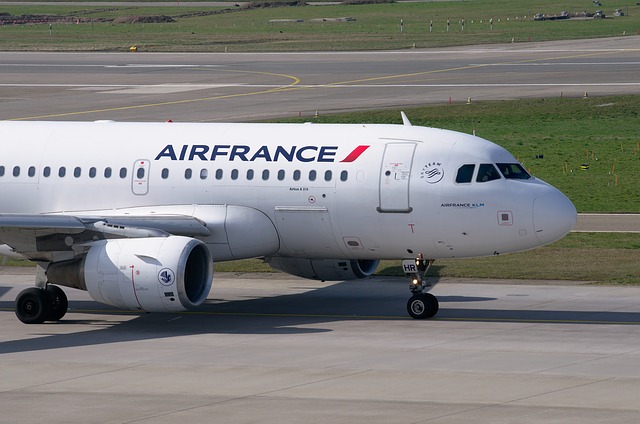 Free download plane air france airbus a319 free picture to be edited with GIMP free online image editor