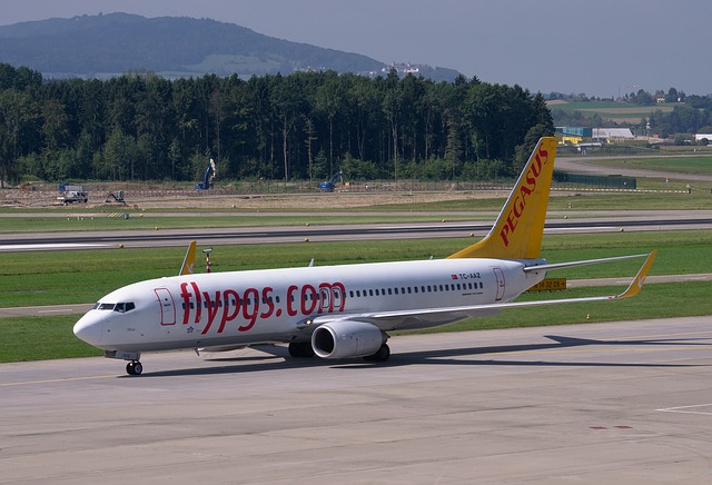 Free download plane boeing 737 800 pegasus free picture to be edited with GIMP free online image editor