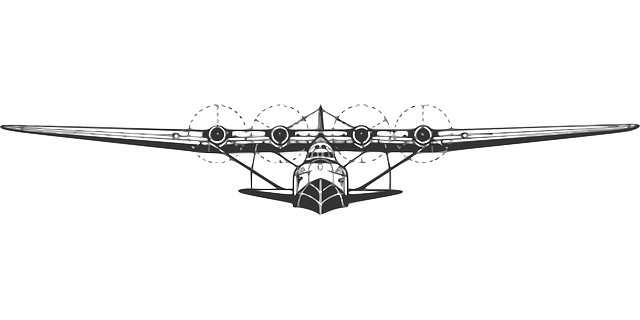Бесплатно скачать Самолет Летающий Самолет - Бесплатная векторная графика на Pixabay, бесплатная иллюстрация для редактирования с помощью бесплатного онлайн-редактора изображений GIMP