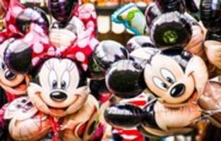Free download Planning Disney Vacations? free photo or picture to be edited with GIMP online image editor