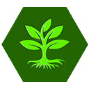 Plantastic Tab  screen for extension Chrome web store in OffiDocs Chromium