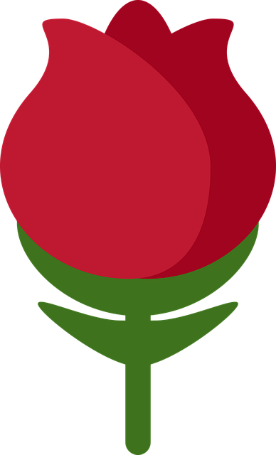 Descarga gratuita Planta Flores - Gráficos vectoriales gratis en Pixabay ilustración gratuita para editar con GIMP editor de imágenes en línea gratuito