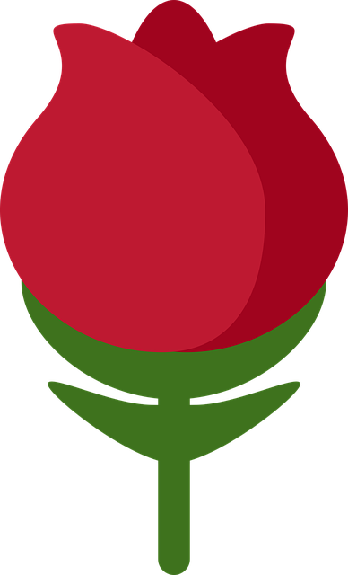 Free download Plant Flowers - Free vector graphic on Pixabay free illustration to be edited with GIMP free online image editor