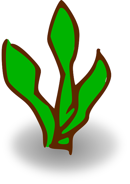 Free download Plant Grass Green - Free vector graphic on Pixabay free illustration to be edited with GIMP free online image editor
