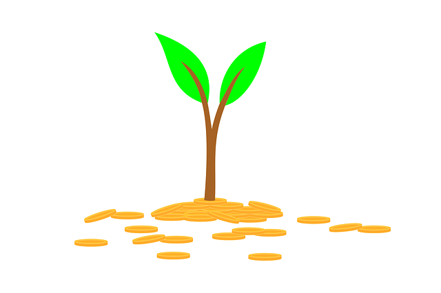 Free download Plant Invest Money - Free vector graphic on Pixabay free illustration to be edited with GIMP free online image editor