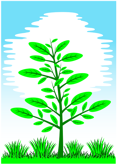 Free download Plant Leaves Landscaping - Free vector graphic on Pixabay free illustration to be edited with GIMP free online image editor