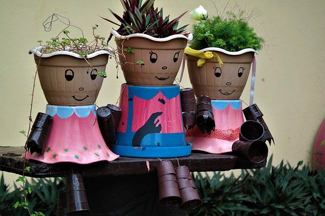 Free picture Plant Pot Potted Males -  to be edited by GIMP free image editor by OffiDocs