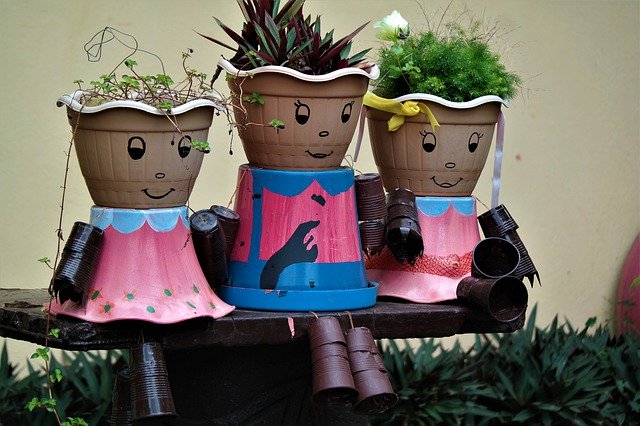 Free download Plant Pot Potted Males -  free photo or picture to be edited with GIMP online image editor