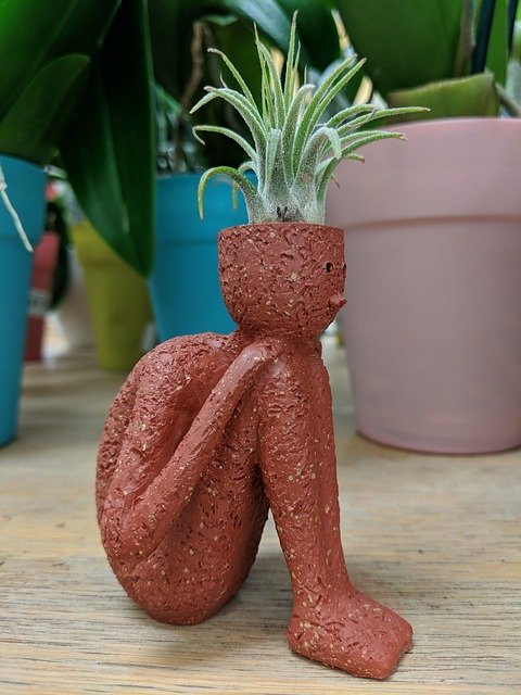 Free download Plant Pot Statue -  free photo or picture to be edited with GIMP online image editor