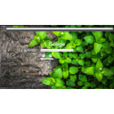 plants  screen for extension Chrome web store in OffiDocs Chromium