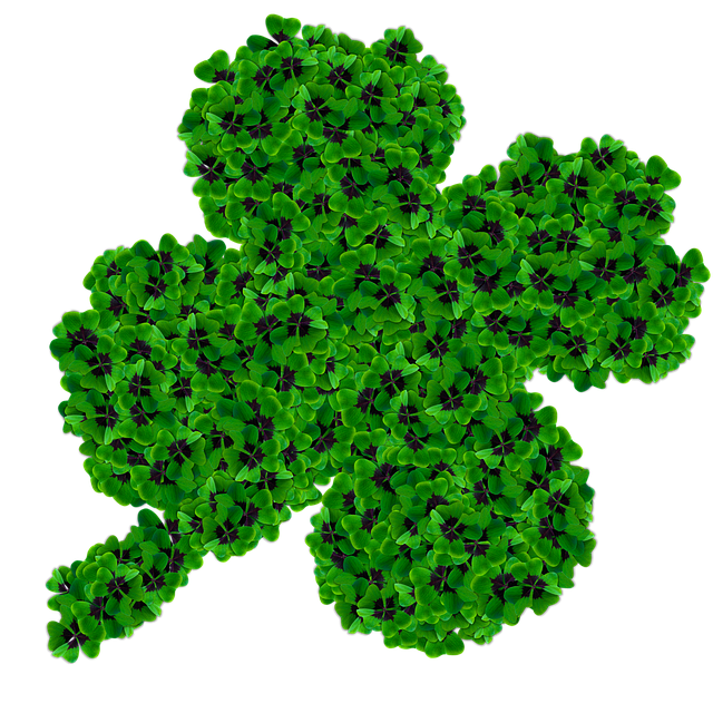 Free download Plants Such As Clover St Patrick -  free illustration to be edited with GIMP free online image editor