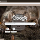 Platypus  screen for extension Chrome web store in OffiDocs Chromium