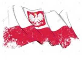 Free download PL Flagge 1 free photo or picture to be edited with GIMP online image editor