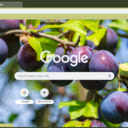 Plum  screen for extension Chrome web store in OffiDocs Chromium