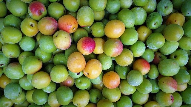 Téléchargement gratuit de Plum Fruit Health - photo ou image gratuite à modifier avec l'éditeur d'images en ligne GIMP