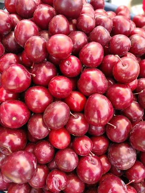 Безкоштовно завантажити Plums Fruit Agriculture - безкоштовне фото або зображення для редагування в онлайн-редакторі зображень GIMP