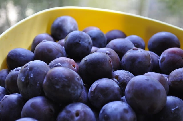 Free download plums fruits healthy organic juicy free picture to be edited with GIMP free online image editor