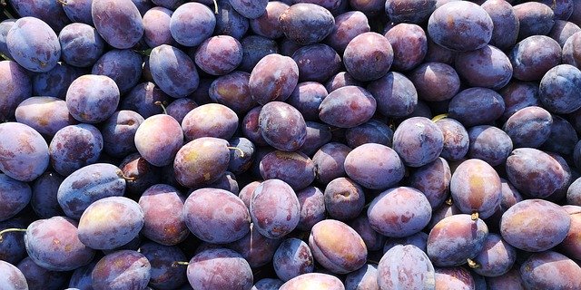 Free download Plums Fruits Natural -  free photo or picture to be edited with GIMP online image editor