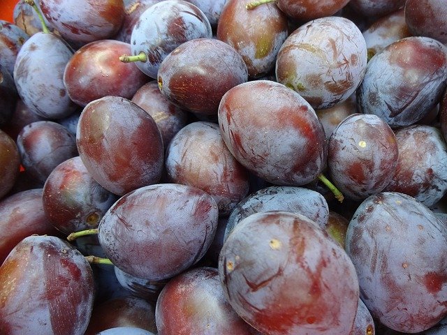 Template Photo Plums Purple Fruit -  for OffiDocs