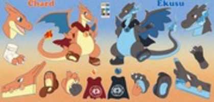 Free download pog free photo or picture to be edited with GIMP online image editor