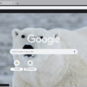 Polar bear  screen for extension Chrome web store in OffiDocs Chromium