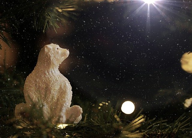 Free download polar bear christmas tree christmas free picture to be edited with GIMP free online image editor