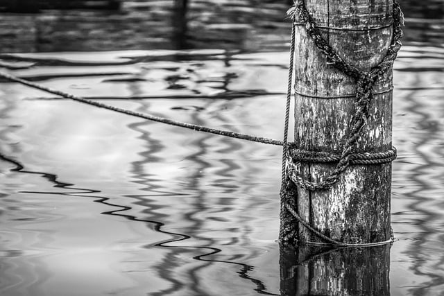 Free download pole lines wood water ripples free picture to be edited with GIMP free online image editor