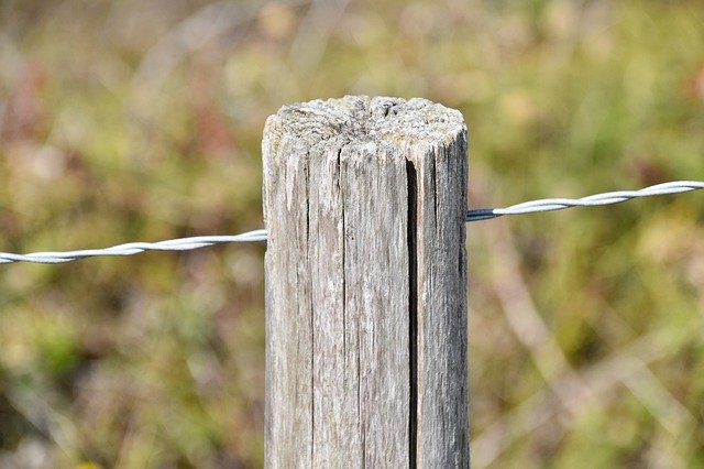 Muat turun percuma Pole Wood Wire Metal - foto atau gambar percuma untuk diedit dengan editor imej dalam talian GIMP