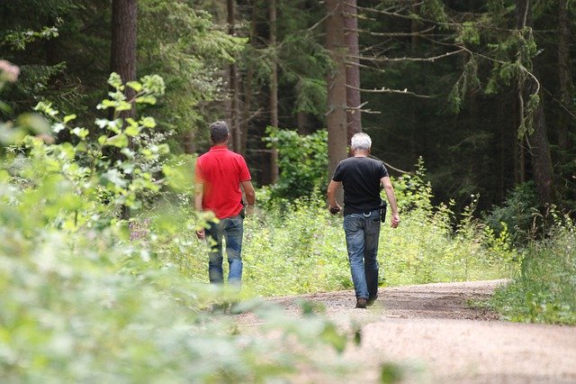 Безкоштовно завантажити Police Forest Nature - безкоштовне фото або зображення для редагування за допомогою онлайн-редактора зображень GIMP