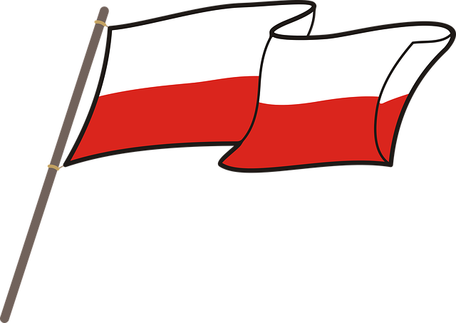Free download Polish Flag White-Red - Free vector graphic on Pixabay free illustration to be edited with GIMP free online image editor