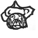 Polo CUSD 222 Parent Portal  screen for extension Chrome web store in OffiDocs Chromium