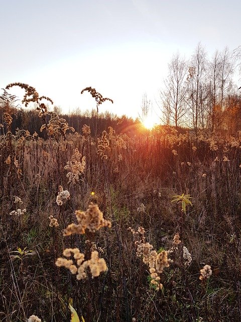 دانلود رایگان Polyana Field Sunset - عکس یا تصویر رایگان قابل ویرایش با ویرایشگر تصویر آنلاین GIMP