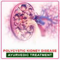 Free download Polycystic Kidney Disease Ayurvedic Treatment free photo or picture to be edited with GIMP online image editor