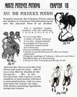 Free download polyjuice_potion_by_lilpatty-d3j2ebu free photo or picture to be edited with GIMP online image editor