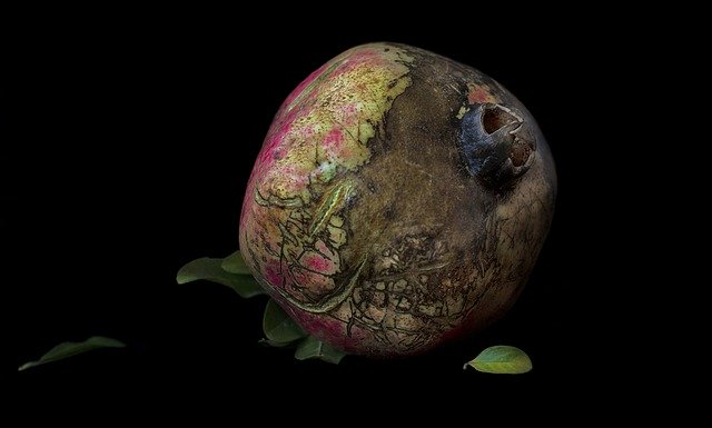 Free download Pomegranate Colorful Fruit -  free photo or picture to be edited with GIMP online image editor