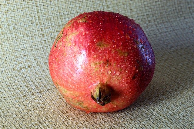 Free download Pomegranate Plant Food -  free photo or picture to be edited with GIMP online image editor