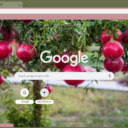Pomegranate Tree  screen for extension Chrome web store in OffiDocs Chromium