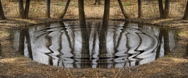 연못 가을 무료 다운로드 - 무료 무료 사진 또는 GIMP 온라인 이미지 편집기로 편집할 사진