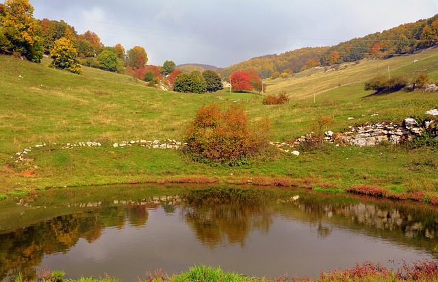 Free download pond autumn trees lawn mountain free picture to be edited with GIMP free online image editor