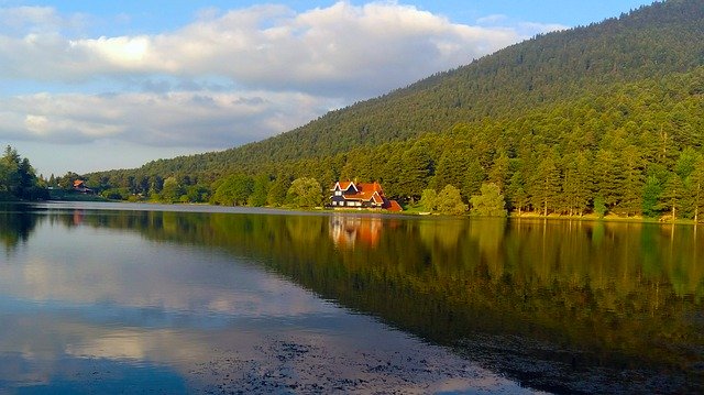 Free download Pond Bolu Forest -  free photo or picture to be edited with GIMP online image editor
