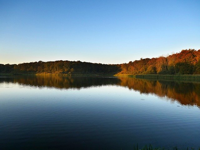 Descărcare gratuită Pond Forest Nature - fotografie sau imagini gratuite pentru a fi editate cu editorul de imagini online GIMP