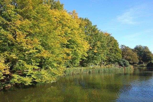 Descărcare gratuită Pond Lake Trees - fotografie sau imagini gratuite pentru a fi editate cu editorul de imagini online GIMP