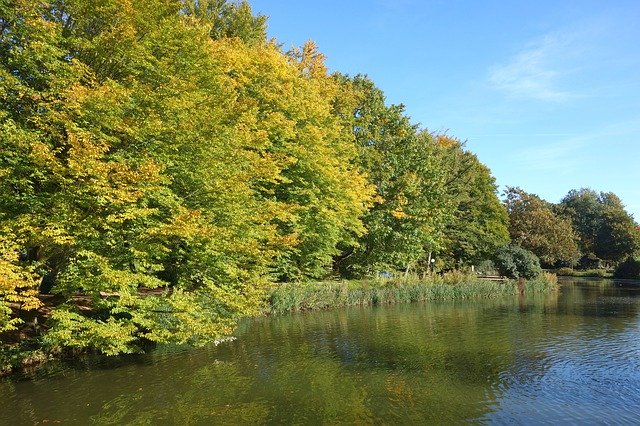 Free download Pond Lake Trees -  free free photo or picture to be edited with GIMP online image editor