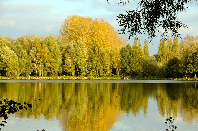 Free download Pond Lake Woody -  free photo or picture to be edited with GIMP online image editor