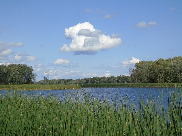 Free download Pond Marsh Cloud -  free photo or picture to be edited with GIMP online image editor