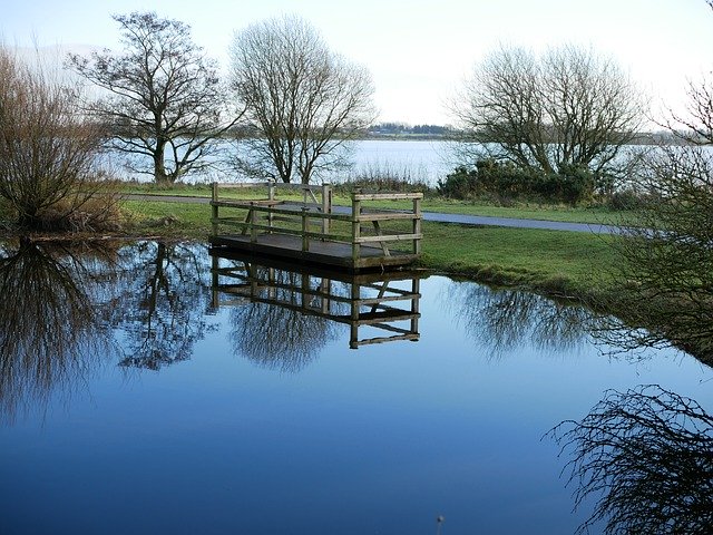 Kostenloser Download Pond Reflection Water - kostenloses Foto oder Bild zur Bearbeitung mit GIMP Online-Bildbearbeitung