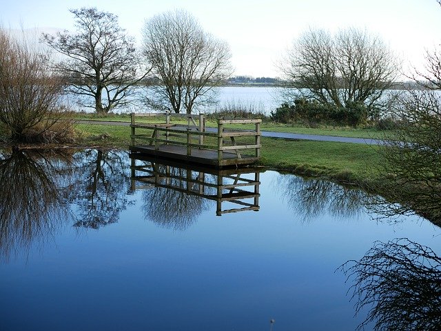 Muat turun percuma Pond Reflection Water - foto atau gambar percuma untuk diedit dengan editor imej dalam talian GIMP