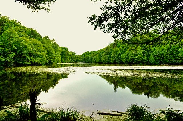 הורדה בחינם של Pond River Nature תבנית תמונה בחינם לעריכה עם עורך התמונות המקוון GIMP