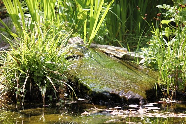 Unduh gratis Kolam Rumput Laut Air - foto atau gambar gratis untuk diedit dengan editor gambar online GIMP