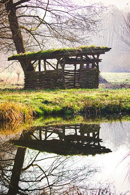 تنزيل مجاني Pond Stall Flock - صورة مجانية أو صورة يتم تحريرها باستخدام محرر الصور عبر الإنترنت GIMP